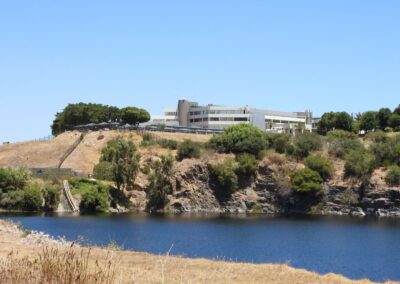 University of Stellenbosch Business School